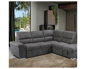 Acoose Sectional Sofa with Sleeper in Gray Finish