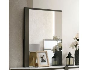 Birsfelden Mirror in Metallic Gray