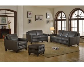 Fletcher Leather Living Room Set in Charcoal