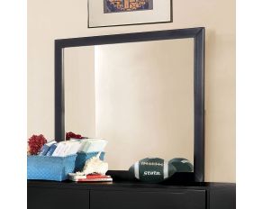 Furniture of America Lennart II Mirror in Black