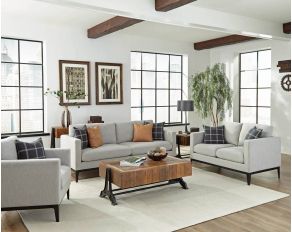 Apperson Living Room Set in Light Grey