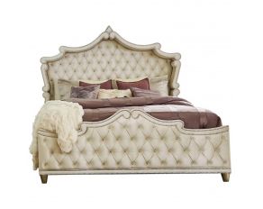 Antonella Queen Upholstered Panel Bed in Champagne