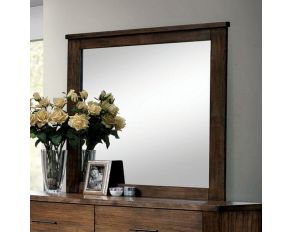 Furniture of America Elkton Mirror in Oak