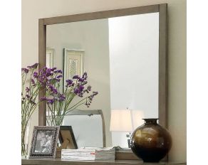 Furniture of America Enrico I Mirror in Gray Finish