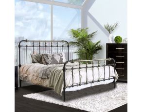 Furniture of America Riana Metal Queen Bed in Black Finish