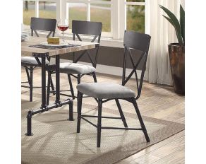 Edina Set of 2 Side Chairs in Gray