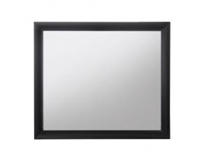 Acme Furniture Ireland Mirror in Black