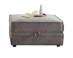 Acme Furniture Bois Storage Ottoman in Gray