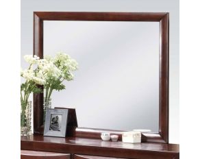 Acme Furniture Ireland Mirror in Espresso