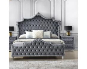 Antonella Upholstered Bedroom Collection in Grey