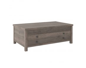 Arlenbry Coffee Table with Lift Top in Gray