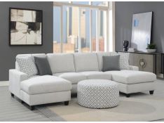 Walker Sectional Living Room Set in Pale Gray