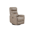 Power Glider Recliners